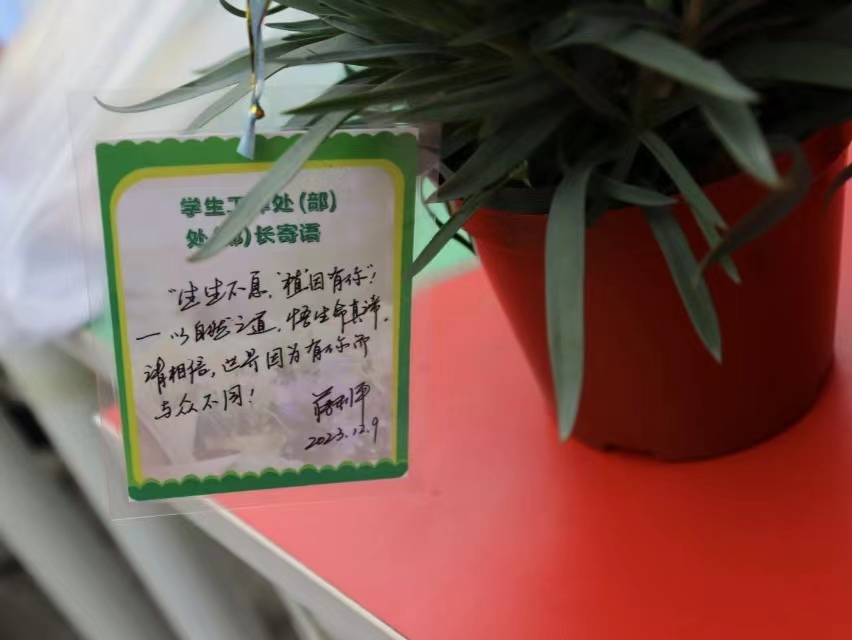 206def00d2554c539bc8e07f4847ecc3.jpg 206def00d2554c539bc8e07f4847ecc3.jpg