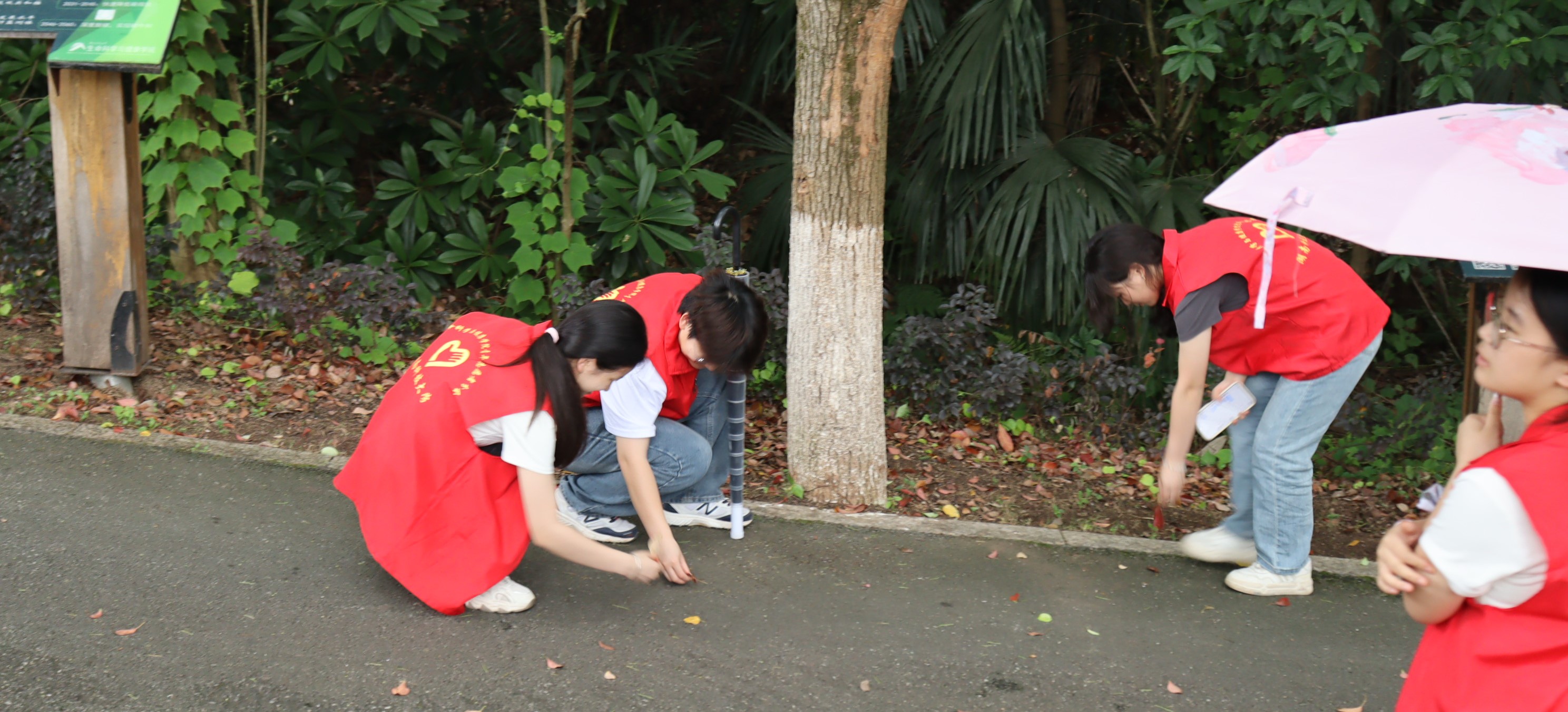 da4b901df09249d9b0fce621a0c00736.jpg da4b901df09249d9b0fce621a0c00736.jpg